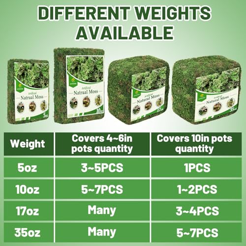 5oz Natural Green Moss for Plants Indoor - Dried Forest Real Moss for Crafts, Artificial Fairy Gardens, Mosswall, Glass Terrariums, Floral Design, Home Decor - style: 5oz