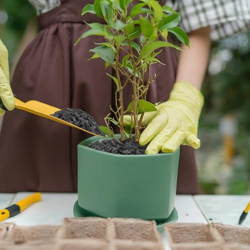 3 Quarts Horticultural Charcoal for Plants-Plant Charcoal Soil Amendment for Potting Indoor Plants, Succulent, Paphiopedilum, Bonsai, Terrarium,and Gardening - size: 3 Quarts