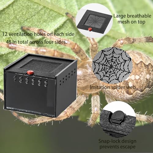 Black Acrylic Spider Feeding Box, Small Insect Breeding Enclosure, Semi-Concealed Cage with Sliding Web Lid, Hand-Held Observation Terrarium for Small Reptiles, Jumping Spiders Enclosure and Scorpions