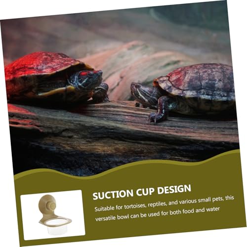 POPETPOP Reptile Feeding Cup Suction Cup Food and Water Dish for Tortoises Geckos and Lizards Easy Clean Spacious Design Tip Function for Terrarium Use