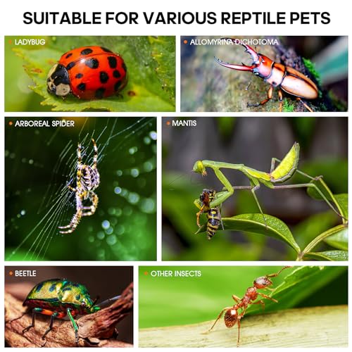 MYGIIKAKA Jumping Spider Enclosure Accessories, Tarantula Spider Box, Bug Cage, Praying Mantis Habitat Enclosure, Snail Insect Terrarium, Caterpillar Habitat (3x3x6 inch) - size: 3x3x6 inch