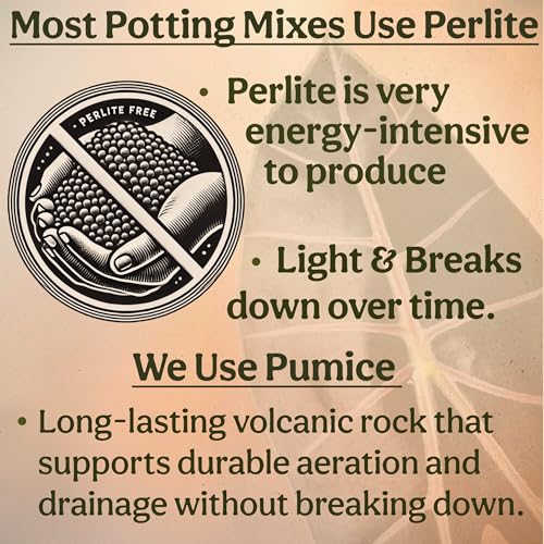 Craft Aroid Potting Mix- Elite Organic Alocasia, Philodendron, Monstera Soil Mix, Chunky, Well Draining Potting Soil for Indoor Plants, All Tropical Plants & Houseplants, Sustainable & Peat Free 8QT - size: 8 Quart