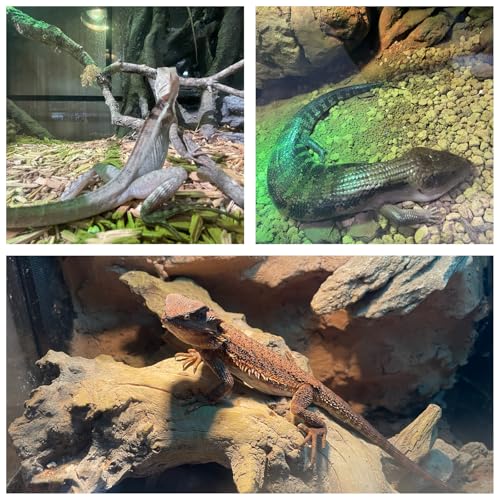 48x20x20'' Bearded Dragon Tank, 83 Gallon Reptile Terrarium, Aluminum Frame Reptile Enclosure with Lockable Sliding Glass Doors, 270° View & 304 Mesh Top