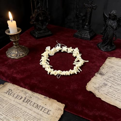 Taxidermy Real Animals Skulls, Real Bones Specimen, Taxidermy Supplies for Science Education, Special Gift (Fox Spine) - style: Fox Spine