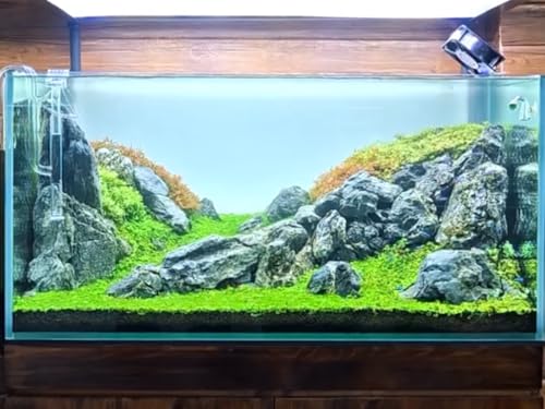 Natural Rocks Seiryu Stones Aquariums Stones for Aquascaping, Aquariums, Terrariums, Vivariums Decorative Stone,Reptile Enclosures,Paludariums,and Gardens-10lb(2 to 7 inch) - size: 10Lb (2-7 inch)