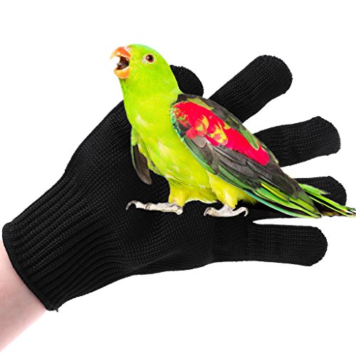 Animal Handling Gloves Proof for Small Birds Parrots Love Birds African Greys Macaws Cockatoos