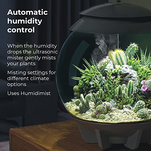 biOrb AIR 30, Automated Acrylic Terrarium for Desert or Tropical Plants, Black - color: Black
