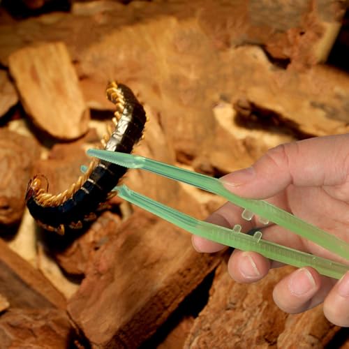 2PCS Reptile Feeding Tongs, 7.1" Aquarium Straight Curved Tweezers Terrarium Feeder Tool with Rubber Tip for Aquatic Plants Lizards Spider
