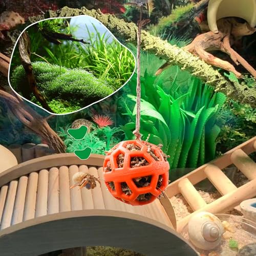 Hermit Crab Tank Accessories & Feeder - Fruit & Veggie Food Ball, Reptile Toys