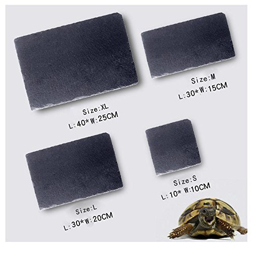 OMEM Turtle Reptile Rock Food Plate Grinding the Nail (XL) - size: XL