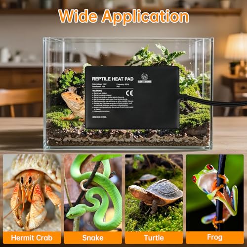 Reptile Heat Pad with Digital Thermostat, Under Tank Terrrarium Heat Mat 16W 8 * 12 Inch, Temperature Controller Heating Pad for Reptile, Turtles, Lizards, Snake, Hermit Crab, Frogs - size: Digital 16W