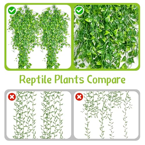 Hamiledyi 2PCS Reptile Feeding Box Snake Breeding Box Transparent Cage and Reptile Plants Tank Habitat Decorations Fake Hanging Vines 5 Pcs for Bearded Dragon, Leopard Gecko, Lizard, Chameleon, Snake