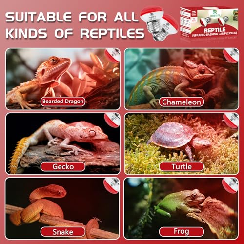 Infrared Reptile Heat Lamp, UVA Red Heat Light Bulb 25W, 2 Pack Reptile Heat Bulb, Infrared Basking Spot Light for Snake, Leopard Gecko, Turtle, Lizard - color: Red(25*2)