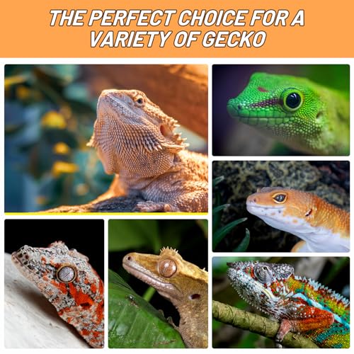 Crested Gecko Food Insect Puree, Hornworm Paste Reptile Food Made with Fresh Insects Gecko Food Complete Diet 2.82oz