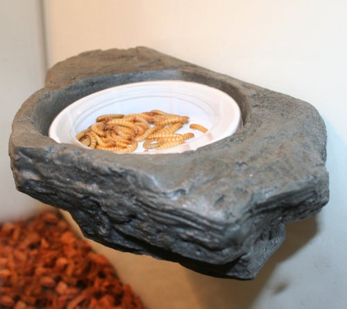 Small Worm Feeder Ledge Granite - Magnetic Decor