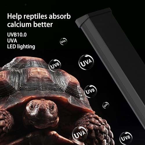 UVB Light for Reptiles, Dimmable LED UVB Lamp with 4/8/12H Timer, 8000H Lifespan, Full Spectrum Sunlight for Tortoise, Gecko, Bearded Dragon, 12W Reptile Lamp, 12IN - size: 12IN