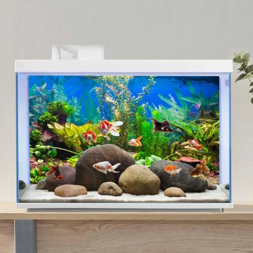 AWERT 30x12 inches Aquarium Background Aquatic Plant River Bed & Lake Fish Tank Background Vinyl - size: 30x12in/75x30cm