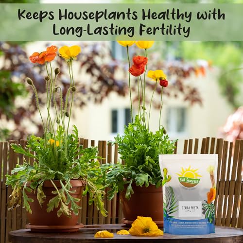 Soil Sunrise Terra-Preta Inspired Potting Soil (2 Quarts) Biochar-Enriched Sustainable Mix for Indoor/Outdoor Plants - size: 2 Quarts