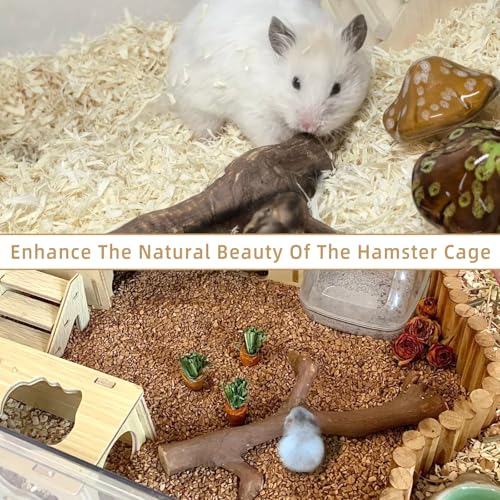 kathson 2Pcs Wood Hamster Climbing Branches Decor, Natural Wooden Syrian Hamster Climb Chewing Toys, Rat Exercise Toys, Small Animal Habitat Decor Accessories for Dwarf Pets, Mice, Gerbils