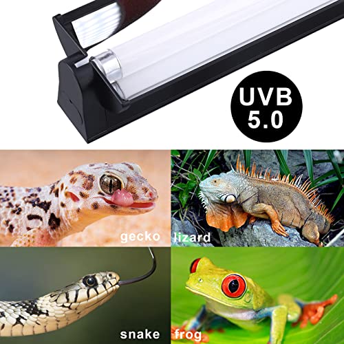 Aiicioo T5 UVB Lighting Combo Kit 8W - Reptile Light Fixture and T5 5.0 UVB Light Bulb for Bearded Dragon Leopard Gecko (12Inch 8W) - size: 12Inch 8W