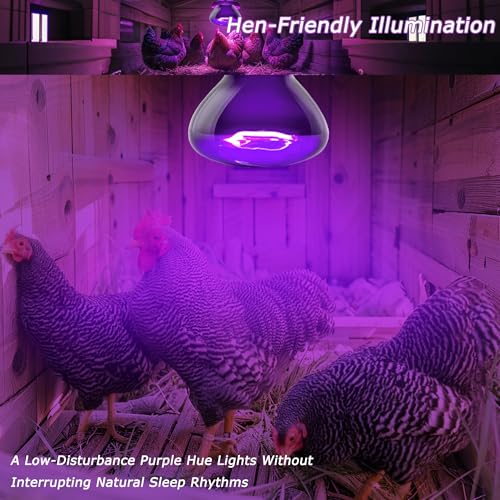 Reptile Moonlight Bulb 60W – Soft Purple Night Light for Nocturnal Viewing, Sleep-Friendly, 2000H Life, E26 Base - color: Purple Moonlight, size: 60W-2.5″