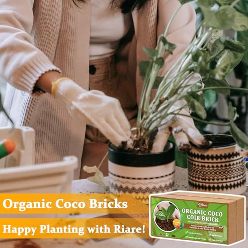 Riare 2pcs Organic Coco Coir Bricks Soil Blocks- 100% Natural Compressed Coco Peat Brick Coconut Fiber Substrate with Low EC& pH Balance, High Expansion Coco Coir Pith Coconut Husk for Garden - color: Pack of 2