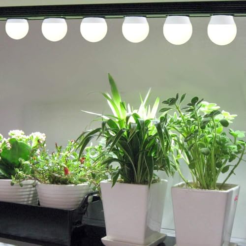 3 Pack Full Spectrum Grow Light Bulbs,A19 Grow Lights for Indoor Plants,Dimmable E26 9W Grow Bulb Replace up to 100W,Plant Lights for Indoor Growing,Flowers,Greenhouse,Indore - size: 3 Count (Pack of 1)