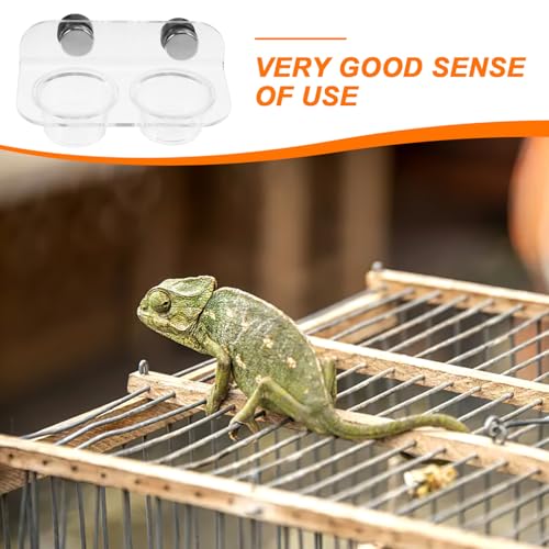 POPETPOP Gecko Feeding Ledge: Reptile Food Bowl, Lizard Water Bowl, Magnetic, Portable, Modern Style, Transparent, Plastic, 12.00X6.50X5.50CM