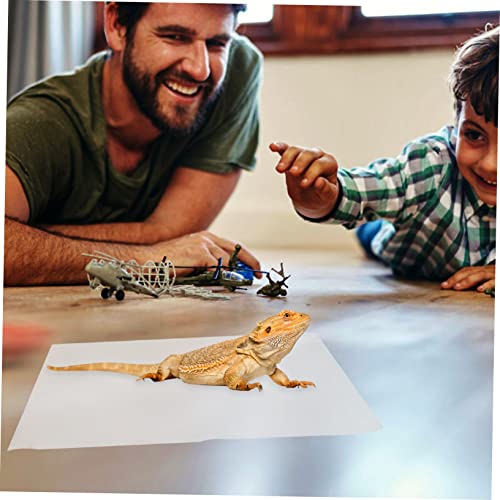 VANZACK 1set Reptile Carpet Mat for Tortoise Habitat Washable Bedding for Reptiles Comfortable Terrarium Liner for Snakes Lizards and Climbing Pets