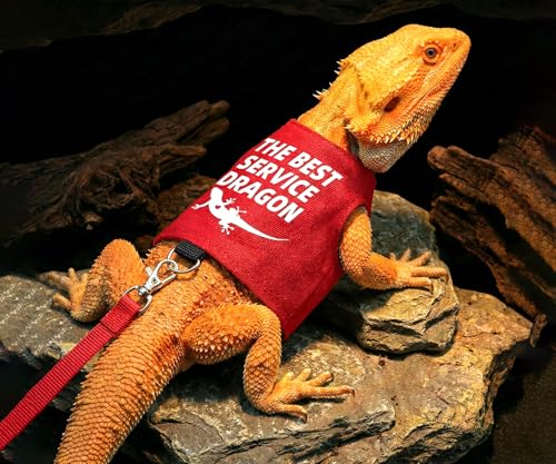Bearded Dragon Harness and Leash Set, Escape Proof Adjustable Lizard Reptile Vest Clothes with 5.5 ft Leash for Outdoor Walking, Best Service Dragon Design