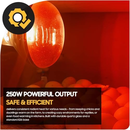 250 Watt R40 Clear Heat Lamp Bulb – Infrared Flood Reflector Light, Incandescent Spotlight for Food Warmer, Brooder, Chicken Coop, Pet Heating, Bathroom, Light Therapy – E26 Base (1, Red) - color: Red