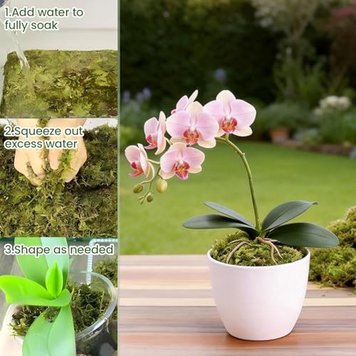 Dried Forest Moss for Plant Care, Sphagnum Potting Moss Suitable for Orchids, Carnivorous Plants, Succulents, Garden Blooms & Reptile Habitats (18 OZ) - style: 18 OZ