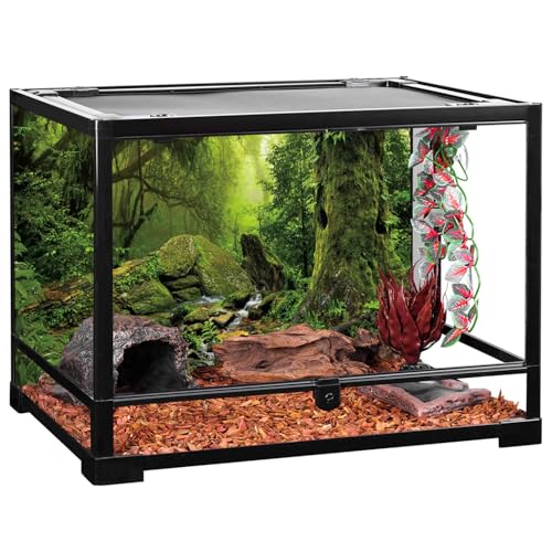 AWERT Tropical Forest Terrarium Background Stream Green Huge Tree Reptile Habitat Background Foggy Rainforest Aquarium Background 36x24 inches Durable Polyester Background - size: 36 x 24 inches