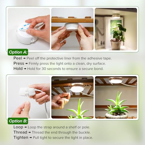 7W Grow Light for Indoor Plants, Full Spectrum Plant Light with Auto Timer (3/6/12H) & 4-Level Dimming, Small Led Grow Light for Seedlings, Succulents, Herbs - size: 1-Head