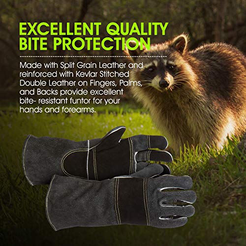 Suse's Kinder Protective Gloves, Professional Animal Handling for Dog Cat, Falconry Parrot - size: Large