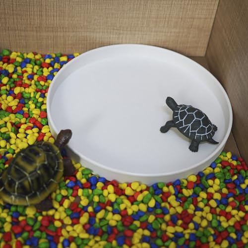 OMEM Reptile Food Bowl Water Dish,Feeding Dish, Birds Bowl (L, White) - color: White, size: L