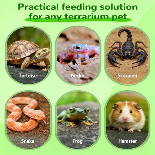 Xindojuz 4 PCS Leaf Reptile Water Dish, Reptile Water Bowl, Tortoise Habitat Accessories, Bearded Dragon Water-Bowl, Turtle Food Feeding Plates for Turtle Small Snake Lizard Gecko, 2 Sizes
