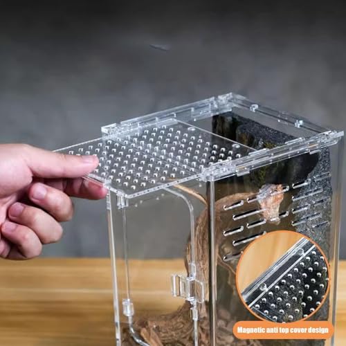 Jumping Spider Enclosure – Acrylic 15x15x25cm | Small Reptile Habitat with Dual-Sided Ventilation | Front-Opening Arboreal Tarantula Tank | Transparent Terrarium for Mantis and Invertebrate Use - color: Arboreal breeding box small