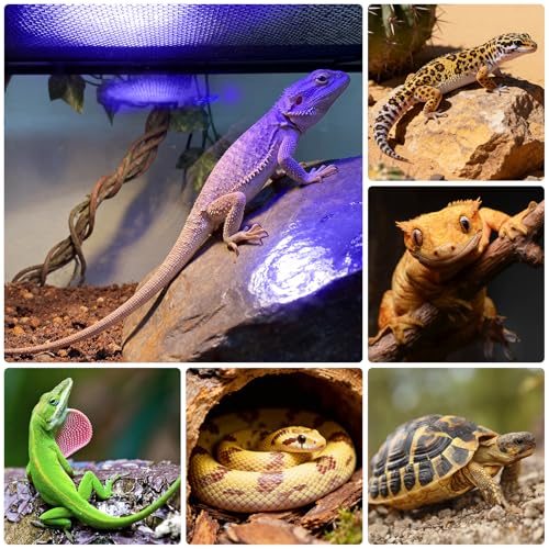 UVB Light for Reptiles, TFNN Reptile Light Fixture with 3-6-12 Cycle Timer & 3 Brightness, Full Spectrum UVA UVB Lamp for Turtles Bearded Dragon Snake (18W)