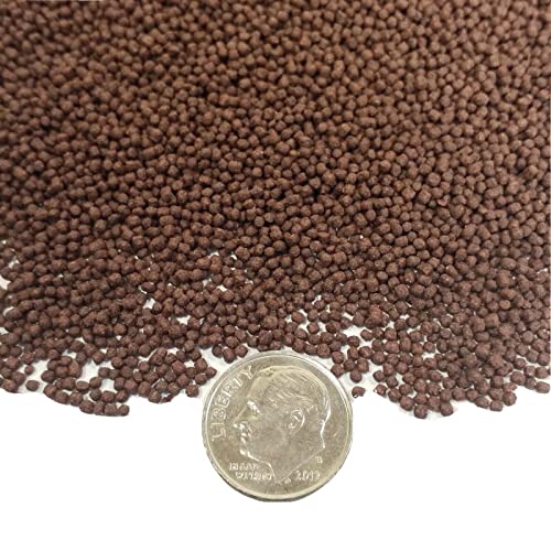 Blackworm Micro .8mm Floating Pellets with Color Enhancers & Vitamins for Discus, Guppies, Tetras, Live Bearers, Baby Cichlids, Baby Koi, All Tropical and Pond Fish...8oz Jar