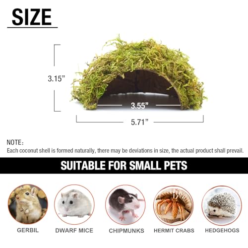 Hamster Hideaway/Hideout,Mossy Cave Hide,Hamster House/Hides,Hamster Cage Accessories for Gguinea Pig/Hedgehogs/Gliders/Rats/Mice and Other Small Animals(Set) - size: Cave, Set