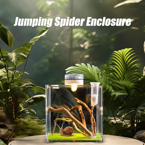 Reptile Growth Terrarium - Acrylic Jumping Spider Clear Container, Clearer View Small Pet Enclosure, Practical Convenient Spacious Habitat, Durable Housing Design Versatile Use | for Snails Lizards Be - color: Orange