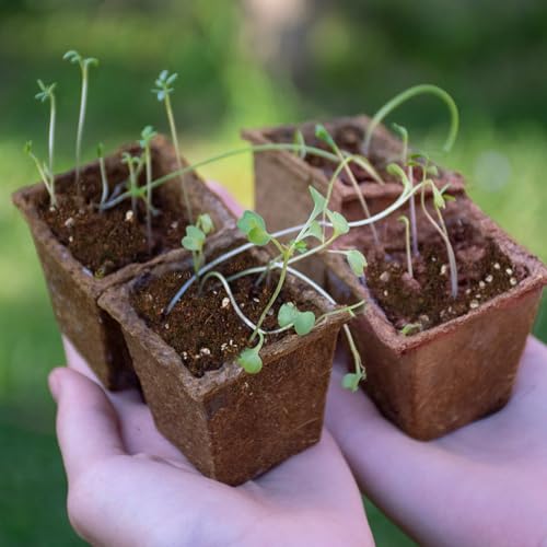 Seed Starting Soil Mix 10qt, Seed Starter Seedling Soil Ready to Use Suitable for Vegetable, Flower, Houseplant and Bonsai - color: Seedling Soil, size: 10qt