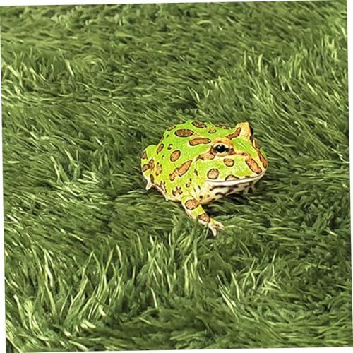 2pcs Natural-Looking Reptile Mats Simulated Moss Carpets for Climbing Pets Moisturizing Fake Lawn for Terrariums Safe and Absorbent Bedding for Turtles and Frogs