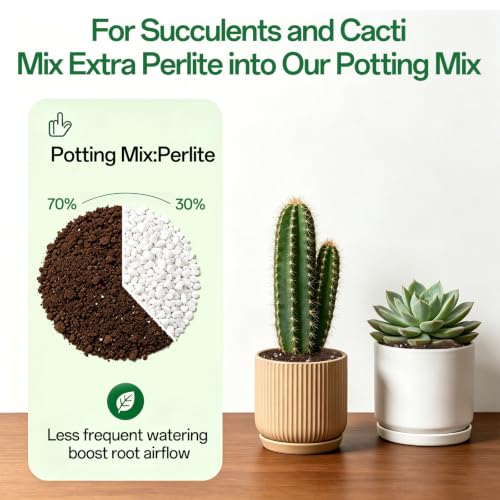 ZeeDix 1QT Tropical Potting Mix for Plants | Perlite Coco Coir Vermiculite Peat Moss, Balanced Aeration Drainage & Moisture Retention, Beginner Friendly - color: Potting Soil Mix, size: 1 qt