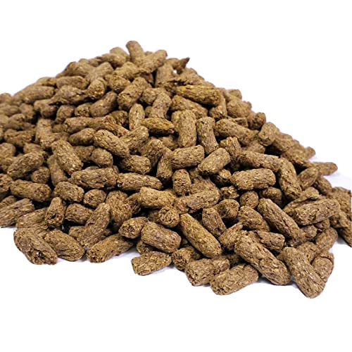 Tortoise Pellet Food, Low Starch High Fiber Diet for Sulcata, Leopard, Yellow-Footed, Desert, African Spurred for All Tortoise.…8oz Small Jar - size: 8 Ounce (Pack of 1)