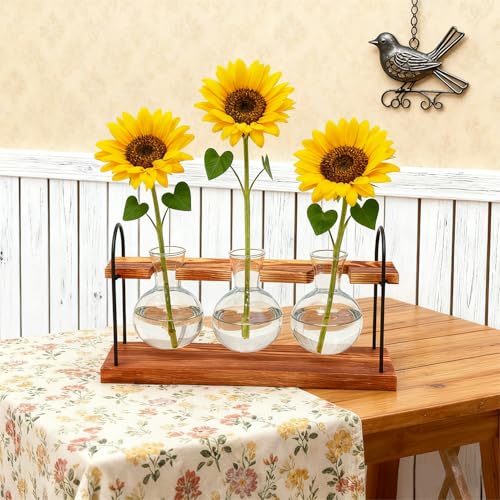 Plant Terrarium with Wooden Stand, The Ultimate Gift for Plant Lovers, Propagation Station with Retro Glass Bulbs, Creating a Stunning Tabletop Display of Hydroponic Greenery in Any Home or Office