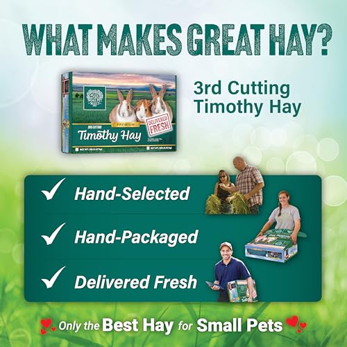 Small Pet Select 3rd Cutting Super Soft Timothy Hay Pet Food for Picky Eaters, Rabbits, Guinea Pigs, and Other Small Animals, Easy to Store Box, 2 LB - size: 2 Pound (Pack of 1)