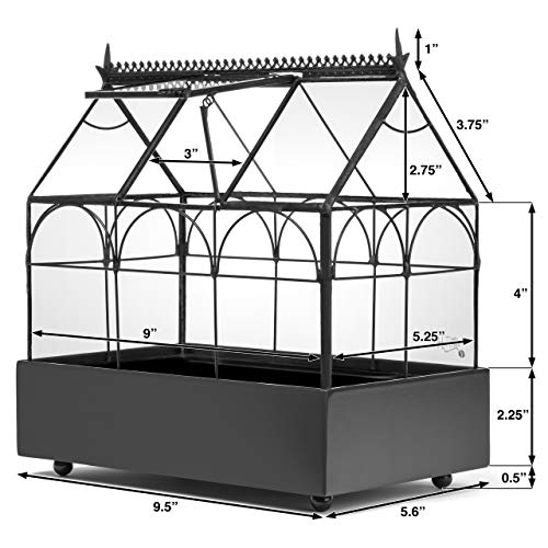 H Potter Glass Terrarium Wardian Case, with Hinged Roof 10.5" Tall | Indoor Tabletop Planter, Metal Base, For Succulents, Ferns, and Moss