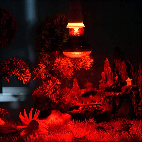 25W Infrared Heat Lamp Bulb E26 Base Red Basking Spot Light for Reptile Terrarium, Non-Disruptive Night Heater for Bearded Dragons Snake Turtle and Amphibian 2 Pack